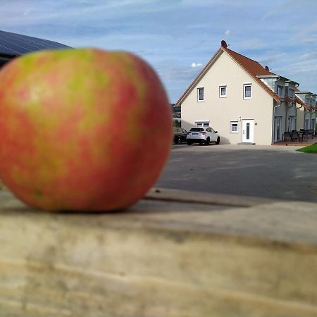 Ferienhof Dachsberg Wohnung Sundowner 贝曼廷根 外观 照片