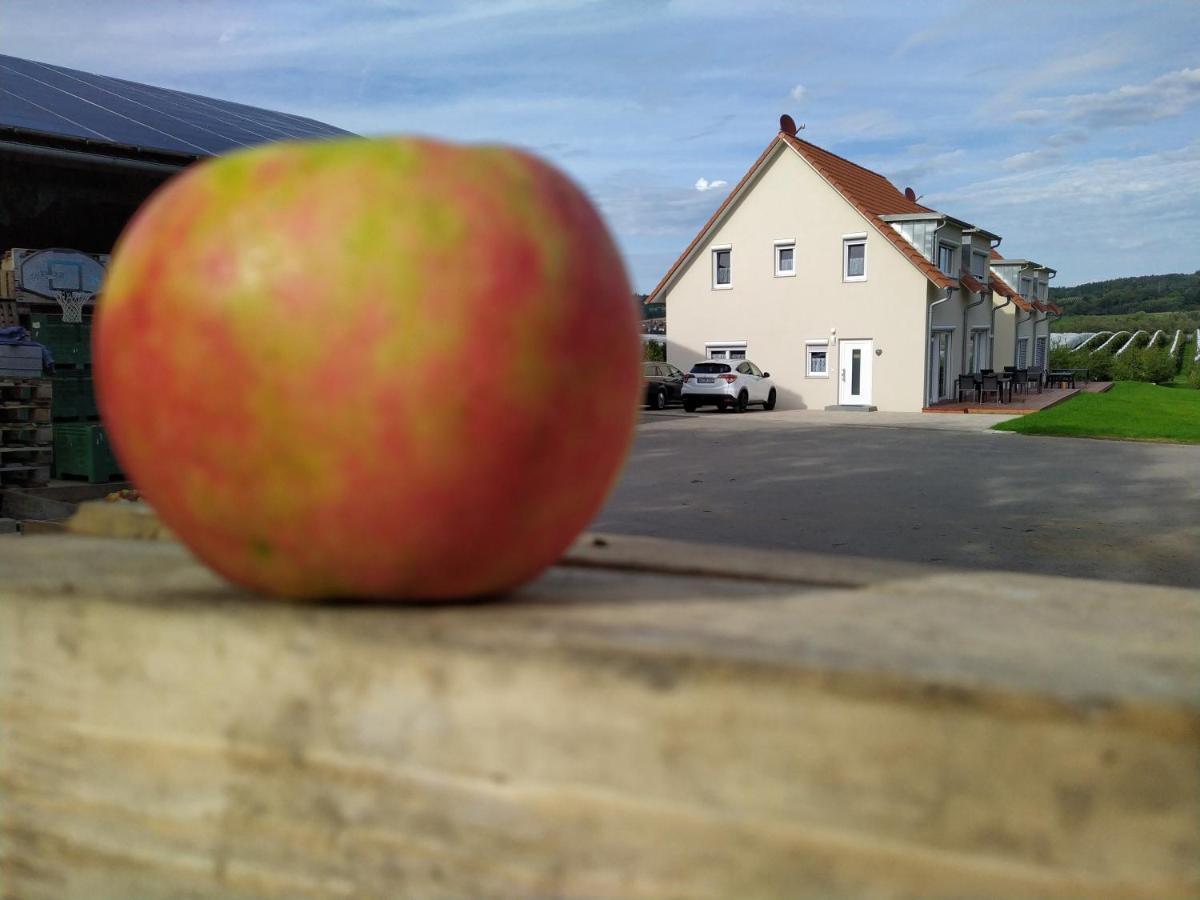 Ferienhof Dachsberg Wohnung Sundowner 贝曼廷根 外观 照片