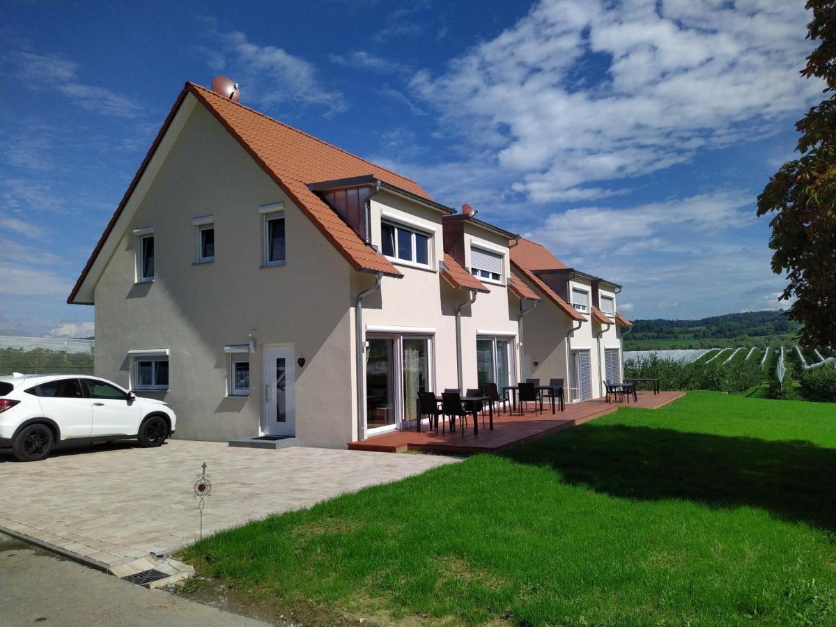 Ferienhof Dachsberg Wohnung Sundowner 贝曼廷根 外观 照片
